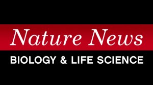 D59E97DE-DFCF-431F-97C8756E1BF6AF61